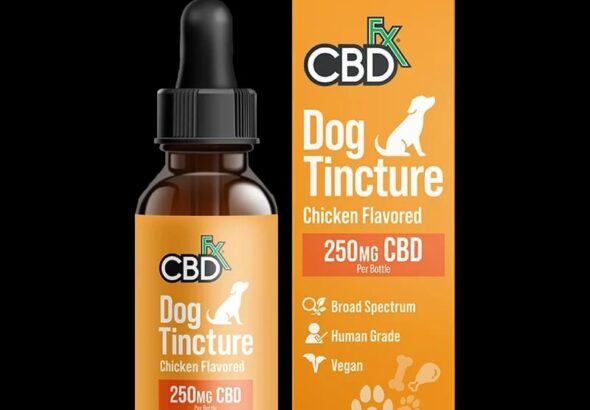 WhatsApp Image 2026-02-10 at 7.11.24 PM (4)